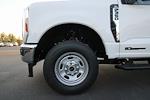 2024 Ford F-350 Crew Cab SRW 4x4, Scelzi Signature Service Truck for sale #RN31725 - photo 19