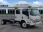 New 2024 Chevrolet LCF 5500HD Crew Cab RWD, Cab Chassis for sale #40277 - photo 1