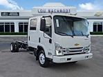 New 2025 Chevrolet LCF 3500HG Crew Cab RWD, Cab Chassis for sale #40524 - photo 1