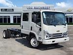 New 2025 Chevrolet LCF 4500HG Crew Cab RWD, Cab Chassis for sale #40637 - photo 1