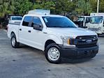 2020 Ford F-150 SuperCrew Cab RWD, Pickup for sale #PPE44934 - photo 31