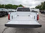 2024 Ford F-150 SuperCrew Cab 4x4, Pickup for sale #20284 - photo 10