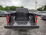 2024 Ford F-250 Crew Cab 4x4, Pickup for sale #20300 - photo 11