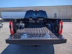2024 Ford F-250 Crew Cab 4x4, Pickup for sale #20370 - photo 10