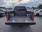 2024 Ford F-250 Crew Cab 4x4, Pickup for sale #20438 - photo 10