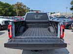 2024 Ford F-250 Crew Cab 4x4, Pickup for sale #20479 - photo 10