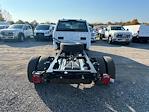 New 2024 Ford F-600 XL Regular Cab 4WD, Cab Chassis for sale #33302 - photo 4