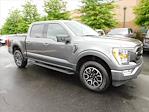 2021 Ford F-150 SuperCrew Cab 4WD, Pickup for sale #9315 - photo 8