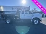 2024 Ford F-650 Super Cab DRW 4x2, Crysteel E-Tipper Dump Truck for sale #YF07745 - photo 19