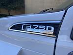 2023 Ford F-750 Crew Cab DRW 4x2, PJ's Landscape Dump #FLU20402 - photo 10