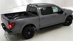 2024 Ford F-150 SuperCrew Cab 4x4, Pickup for sale #240604 - photo 15