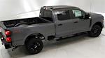 New 2024 Ford F-250 XL Crew Cab 4x4, Pickup for sale #241098 - photo 14