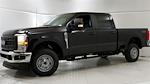 New 2024 Ford F-250 XL Crew Cab 4x4, Pickup for sale #241163 - photo 7