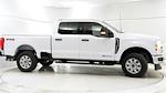 New 2024 Ford F-250 XLT Crew Cab 4x4, Pickup for sale #242114 - photo 3