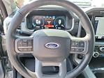 2023 Ford F-150 SuperCrew Cab 4x4, Pickup for sale #3826F - photo 17