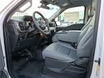 New 2024 Ford F-150 XL Regular Cab 4x2, Pickup for sale #FT29355 - photo 5