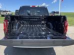 New 2024 Ford F-150 XLT SuperCrew Cab 4x4, Pickup for sale #24F193 - photo 39