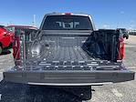 New 2024 Ford F-150 XLT SuperCrew Cab 4x4, Pickup for sale #24F195 - photo 11