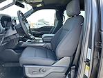 New 2024 Ford F-150 XLT SuperCrew Cab 4x4, Pickup for sale #24F195 - photo 53