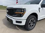 New 2024 Ford F-150 STX SuperCrew Cab 4x4, Pickup for sale #24F270 - photo 33