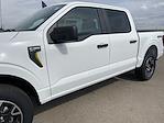 New 2024 Ford F-150 STX SuperCrew Cab 4x4, Pickup for sale #24F270 - photo 34