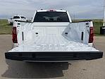 New 2024 Ford F-150 STX SuperCrew Cab 4x4, Pickup for sale #24F270 - photo 38