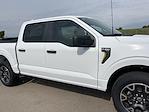 New 2024 Ford F-150 STX SuperCrew Cab 4x4, Pickup for sale #24F270 - photo 41