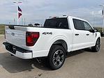 New 2024 Ford F-150 STX SuperCrew Cab 4x4, Pickup for sale #24F270 - photo 2