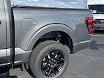 New 2024 Ford F-150 STX SuperCrew Cab 4WD, Pickup for sale #24F289 - photo 30