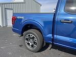 New 2024 Ford F-150 STX SuperCrew Cab 4x4, Pickup for sale #24F290 - photo 36