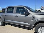 New 2024 Ford F-150 XL SuperCrew Cab 4x4, Pickup for sale #24F300 - photo 52