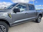 New 2024 Ford F-150 STX SuperCrew Cab 4WD, Pickup for sale #24F304 - photo 29