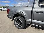 New 2024 Ford F-150 STX SuperCrew Cab 4WD, Pickup for sale #24F304 - photo 37