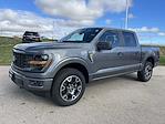 New 2024 Ford F-150 STX SuperCrew Cab 4WD, Pickup for sale #24F304 - photo 6