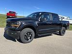 New 2024 Ford F-150 STX SuperCrew Cab 4x4, Pickup for sale #24F306 - photo 6