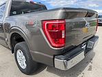 Used 2023 Ford F-150 XLT SuperCrew Cab 4WD, Pickup for sale #3121X - photo 31