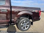 Used 2019 Ford F-150 XL SuperCrew Cab 4WD, Pickup for sale #3354X - photo 24