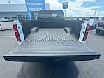 2024 Chevrolet Silverado 2500 Crew Cab 4WD, Pickup for sale #241117 - photo 21