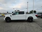 2024 Ford F-150 SuperCrew Cab 4x4, Pickup for sale #241746 - photo 3