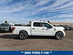 New 2024 Ford F-150 STX SuperCrew Cab 4x2, Pickup for sale #243545 - photo 8