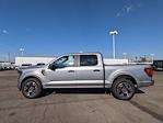 New 2024 Ford F-150 STX SuperCrew Cab 4x2, Pickup for sale #243601 - photo 3