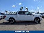 New 2024 Ford F-150 STX SuperCrew Cab 4x2, Pickup for sale #243826 - photo 8