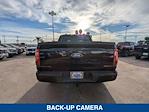 New 2024 Ford F-150 STX SuperCrew Cab 4x2, Pickup for sale #244155 - photo 6