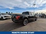 New 2024 Ford F-150 STX SuperCrew Cab 4x2, Pickup for sale #244155 - photo 7