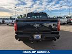 New 2024 Ford F-150 XLT SuperCrew Cab 4x2, Pickup for sale #244282 - photo 6