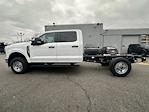 2024 Ford Super Duty F-350 SRW  for sale #241243 - photo 4