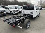 2024 Ford Super Duty F-350 SRW  for sale #241243 - photo 40