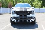 2024 Ford F-150 Shelby Edition for sale #241286 - photo 3