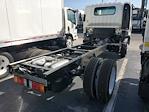 2024 Isuzu NPR-HD Regular Cab 4x2, Cab Chassis for sale #T3027 - photo 2