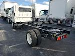 New 2023 Hino S52 Crew Cab 4x2, Cab Chassis for sale #T3071 - photo 2